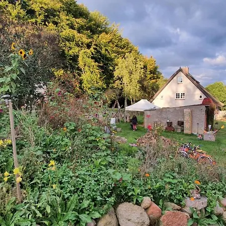 Hermann, Nähe Binz In Traumhafter Alleinlage *