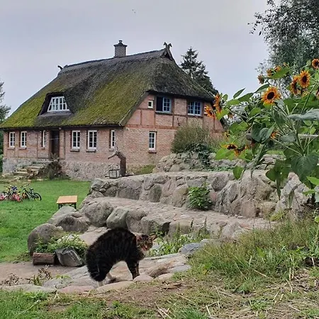 Ferienhaus Hermann, Nähe Binz In Traumhafter Alleinlage *