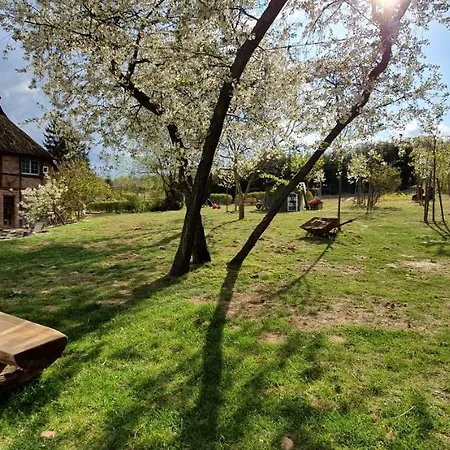 Hermann, Nähe Binz In Traumhafter Alleinlage * Zirkow